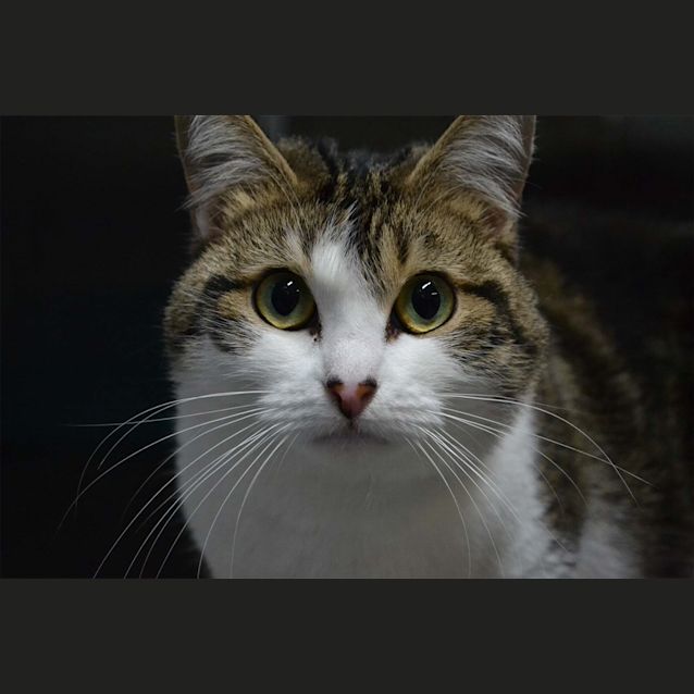 Photo of Champers