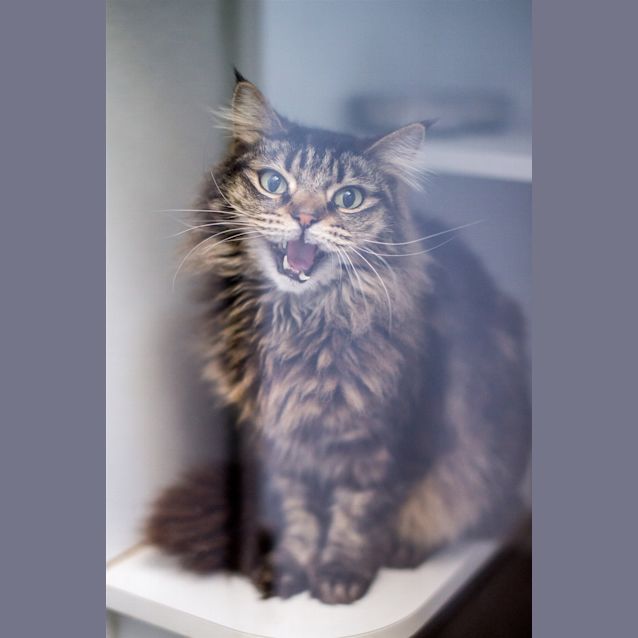 Photo of Billy