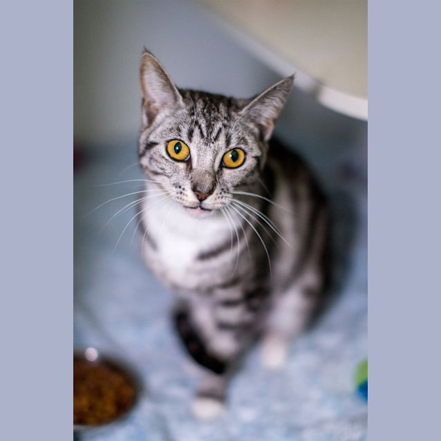 Photo of Luna