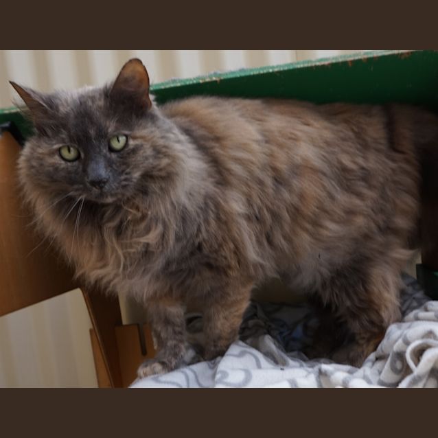 Photo of Lena