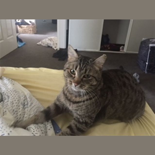 Photo of Mia