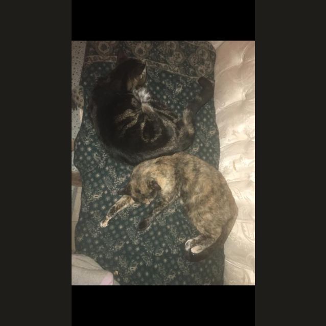 Photo of Claude And Alice