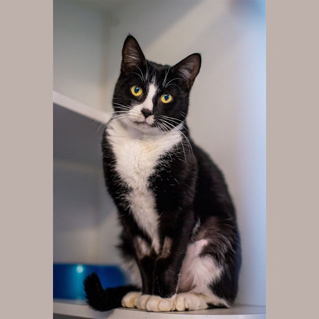 Photo of Milly