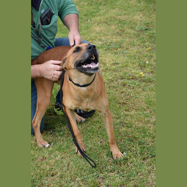 Photo of Lexi Dl1769