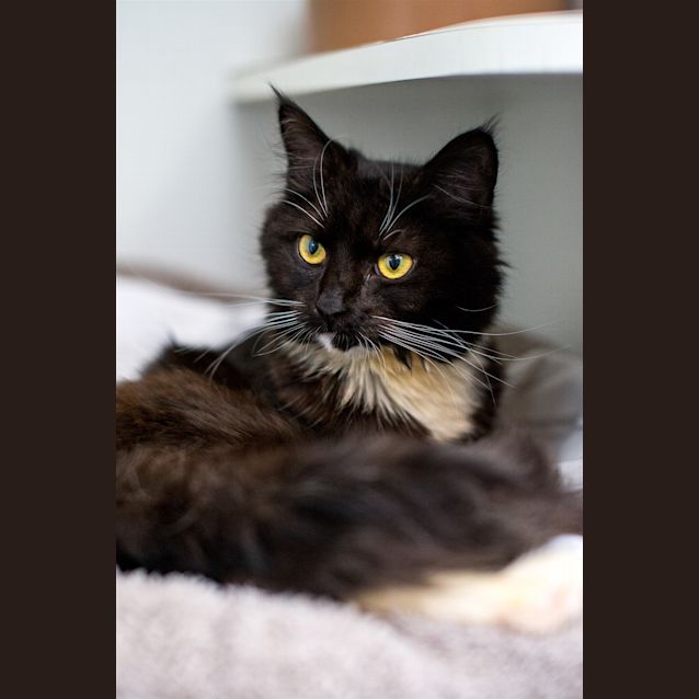 Photo of Molly