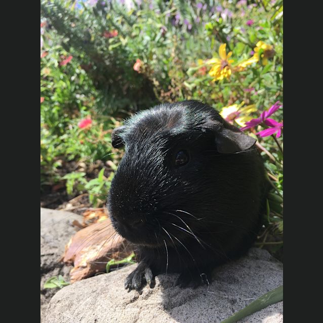 Photo of Andre 