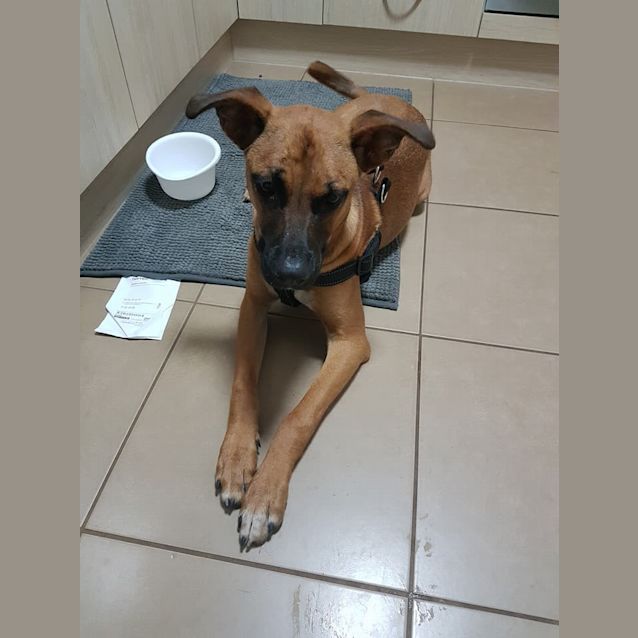 Photo of Eleanor (Ellie)