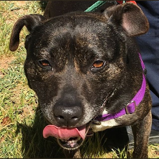 Photo of Tilly