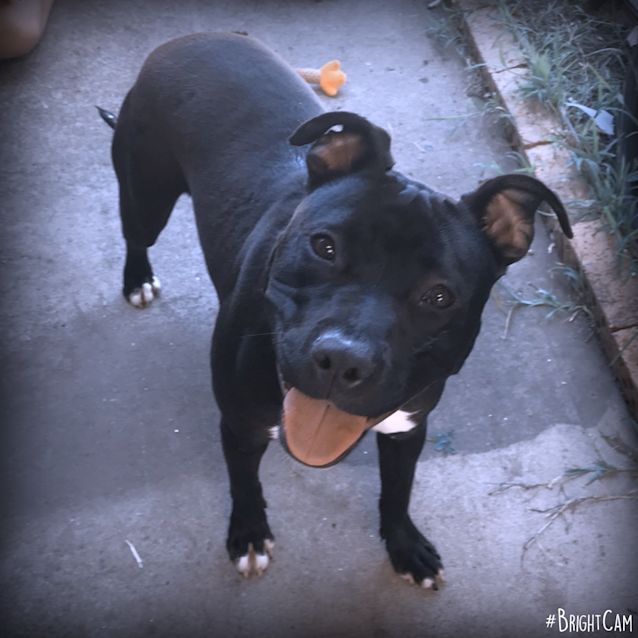 Photo of Kassie ** Lovely Natured Girl **