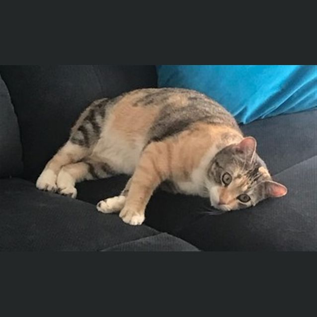 Photo of Sandy E1437