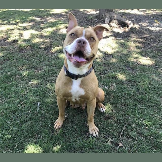 Photo of Daisy
