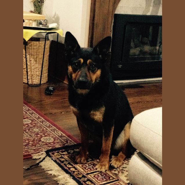 Photo of Solo