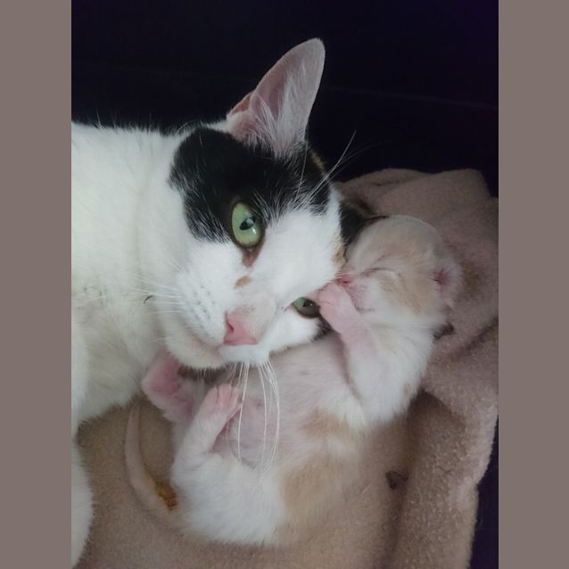 Photo of Mimi