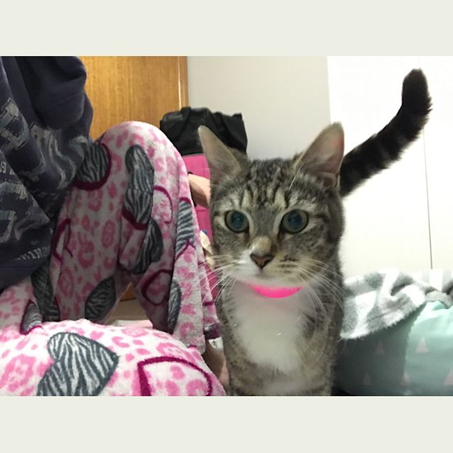 Photo of Suzie (4060)