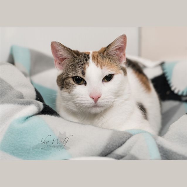 Photo of Giselle