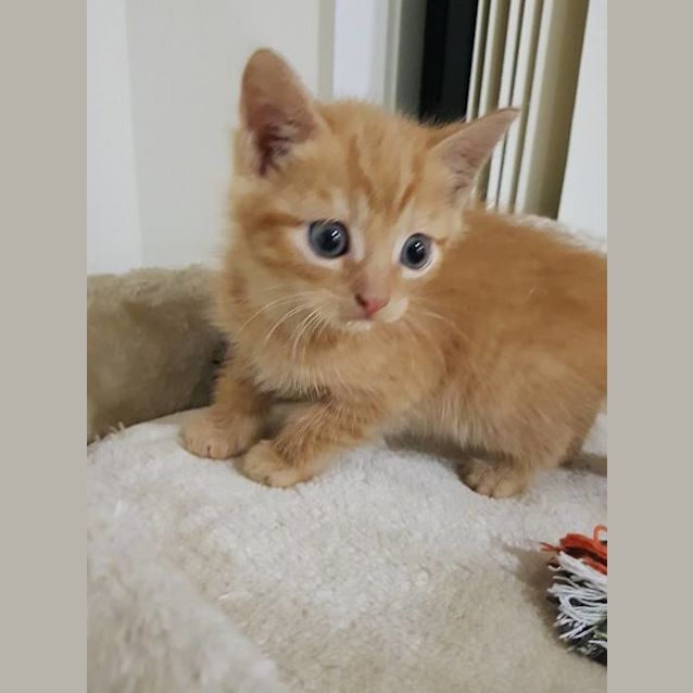 Photo of Jax 