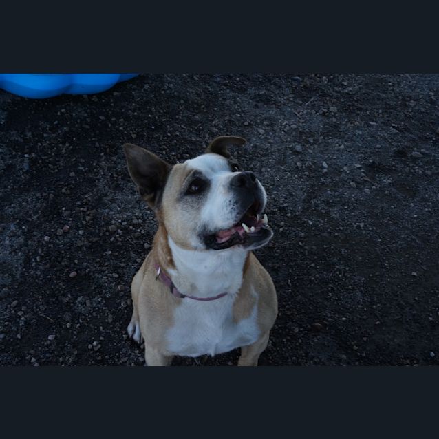Photo of Jess