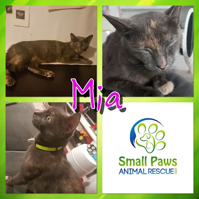 Photo of Mia