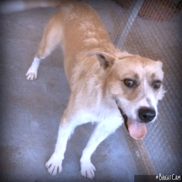 Photo of Paddy ** A Love Bug **