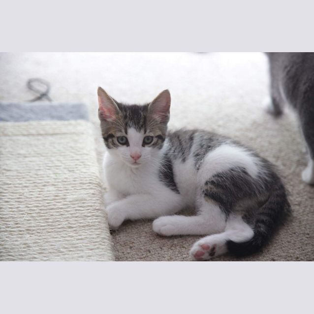 Photo of Frodo