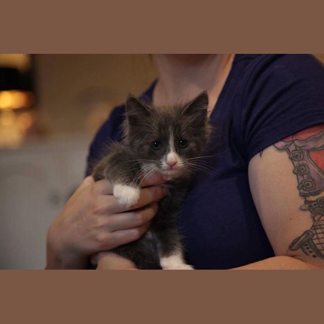 Photo of Pippin
