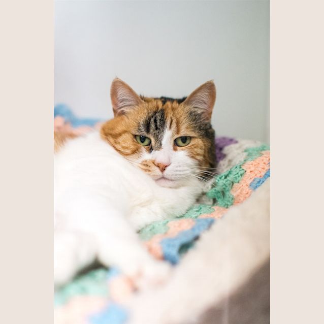 Photo of Shelly