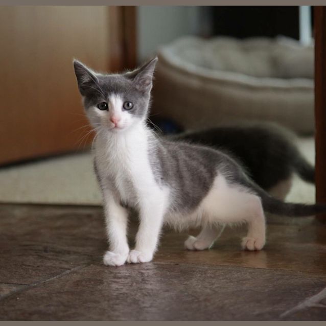 Photo of Merry 