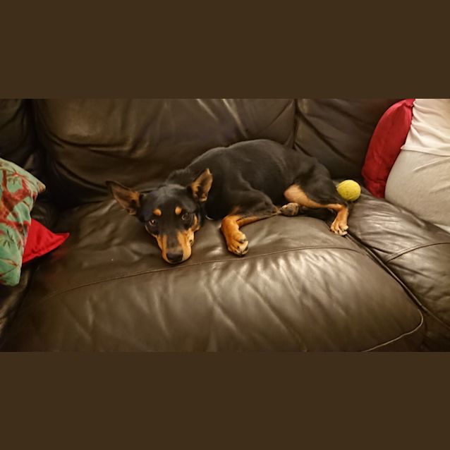Photo of Tammy