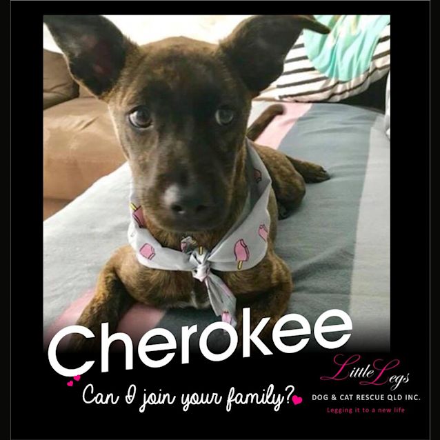 Photo of Cherokee