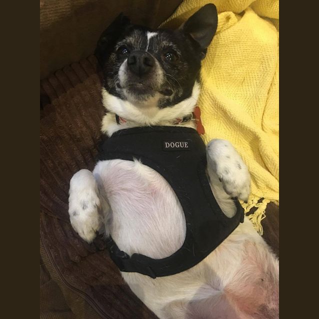 Photo of Zoe