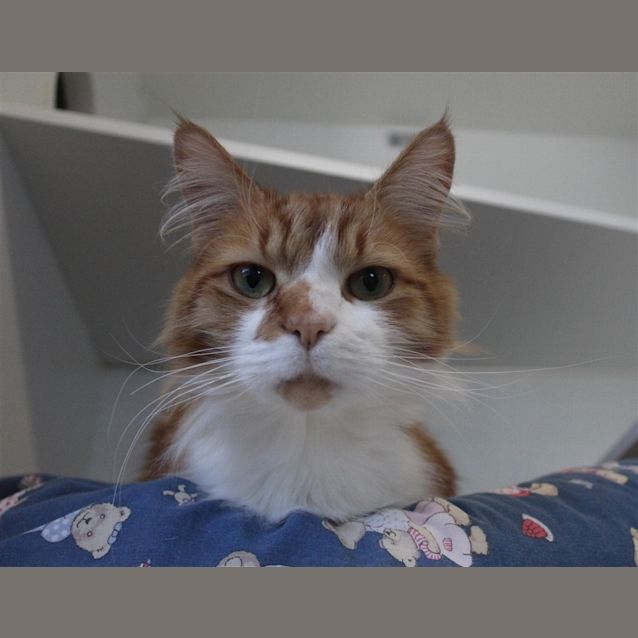 Photo of Monty