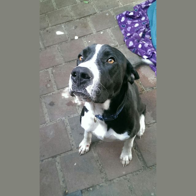 Photo of Max