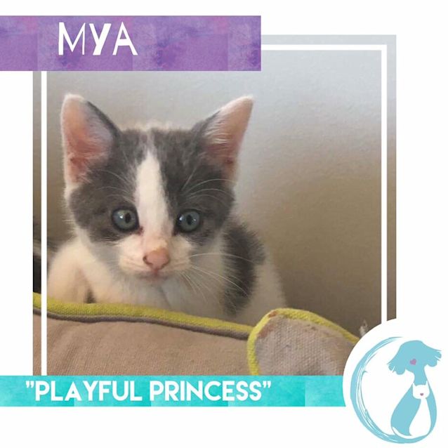 Photo of Mya