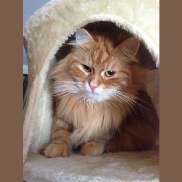 Photo of Thane Ragnarok