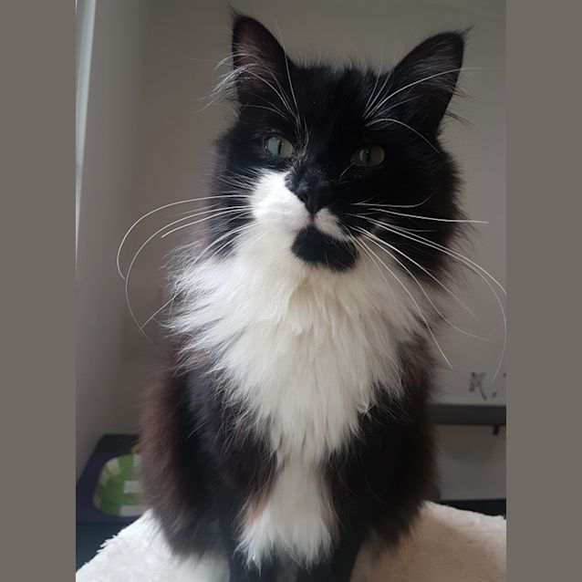 Photo of Charlie