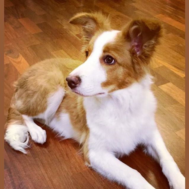 Photo of Kin