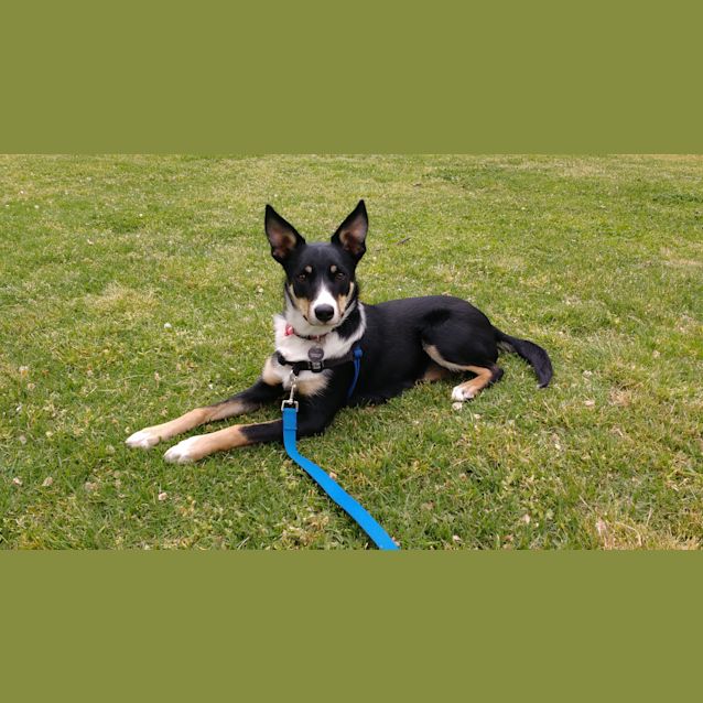 Photo of Bella 2017