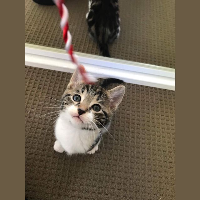 Photo of Gatsby 