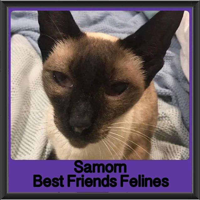 Photo of Samorn