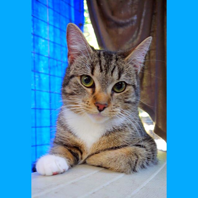 Photo of Sparkle