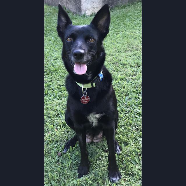 Photo of Tilly