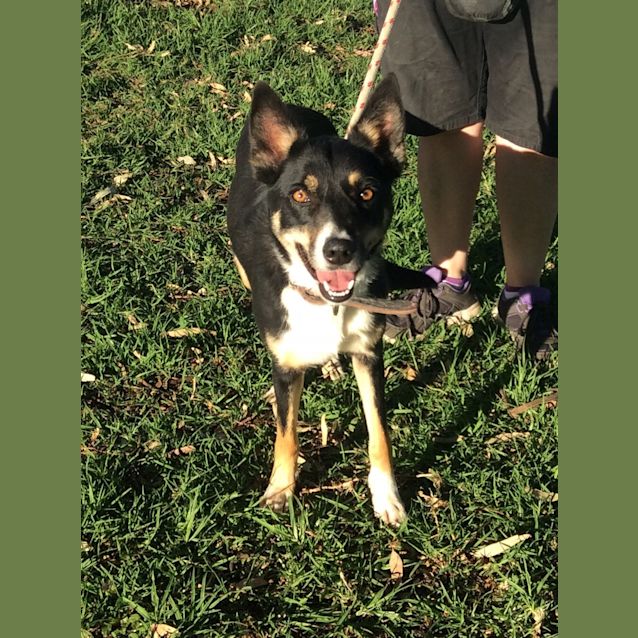 Photo of Dakota