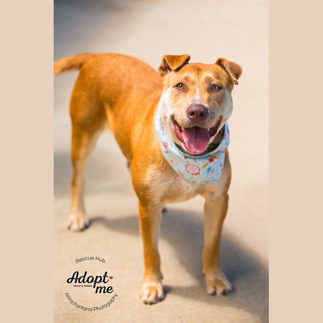 Photo of Harriet Pcc 605