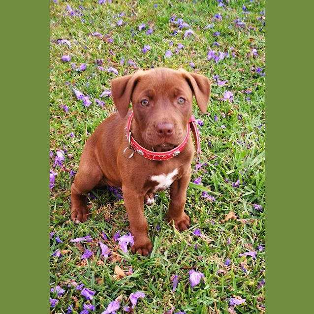 Photo of Stunning Sadie 