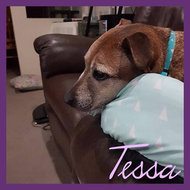 Photo of Tessa