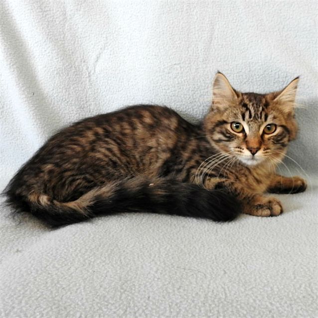 Photo of Xander