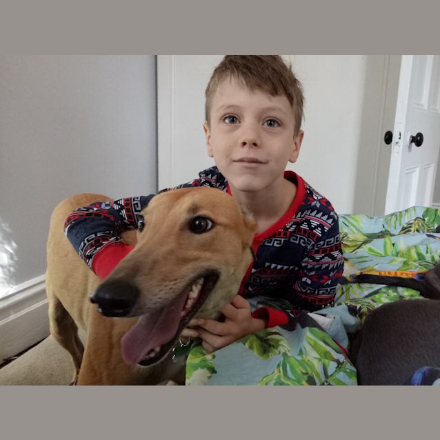 Photo of Summer (On Trial)