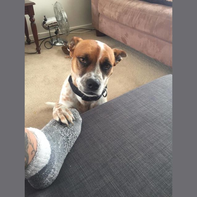 Photo of Tia *App Pending*