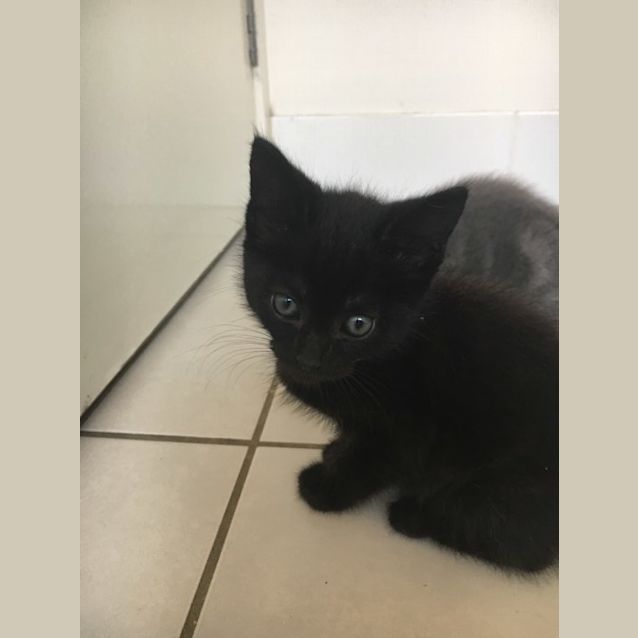 Photo of Leo 