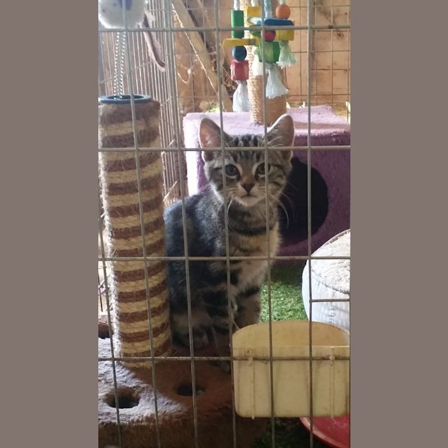 Photo of Lilly 